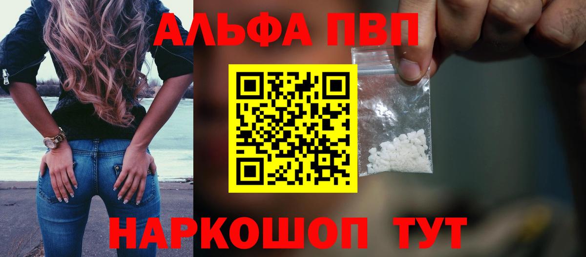 Alfa_PVP СК Королёв