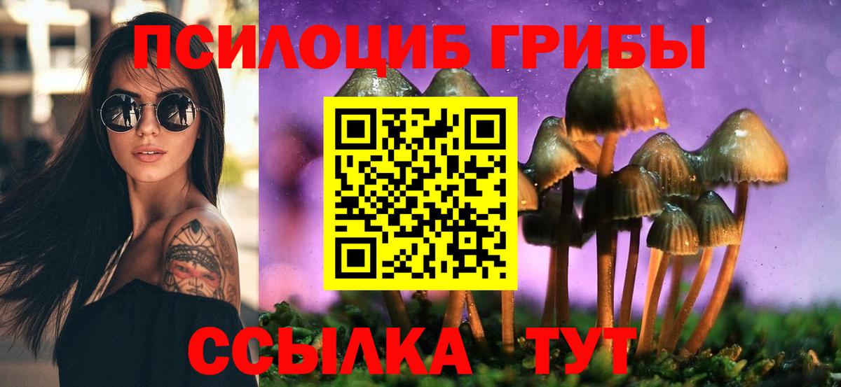 закладки  Вход с VPN  Королёв  Галлюциногенные грибы Psilocybine cubensis 